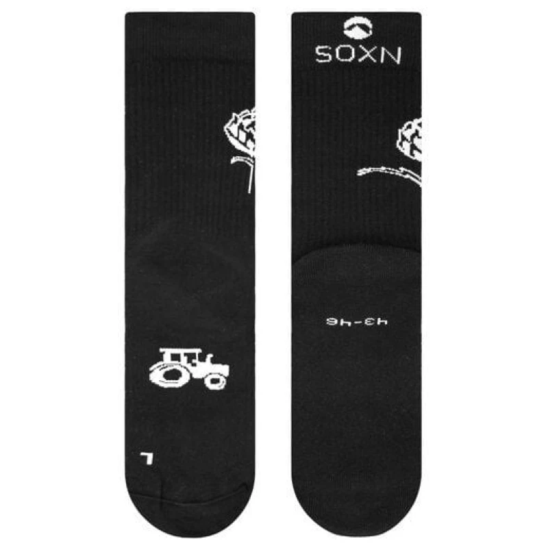 SOXN KoLa / Nachhaltige Socken / Bio-Baumwolle