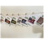 Saatgut Dillmann Dillmann Saatgut Adventskalender