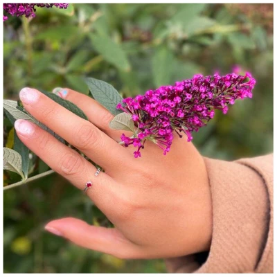 Spirit of Island Silber Ring | Rubin & Diamanten
