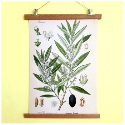 all the things we like Poster Olive mit Aufhängung