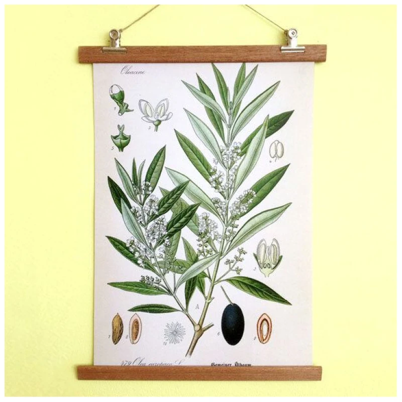 all the things we like Poster Olive mit Aufhängung