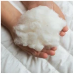 murmunto organics Bio-Bettdecke aus GOTS-Baumwolle (kbA) "Cotton Cover"