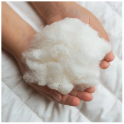 murmunto organics Bio-Kopfkissen (kbA) aus Bio-Baumwolle GOTS vegan "Cotton Top"