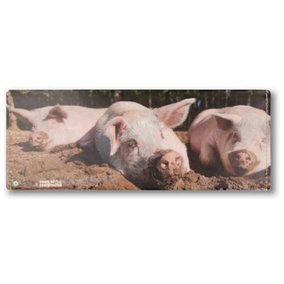 roots of compassion Portemonnaie vegan mit Schweinen - Wallet aus Tyvek