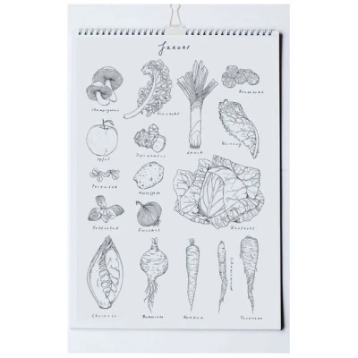 roots of compassion Saisonkalender von Pia Kraftfutter - 100 % Öko - saisonal, Obst, Gemüse, bio, Geschenk