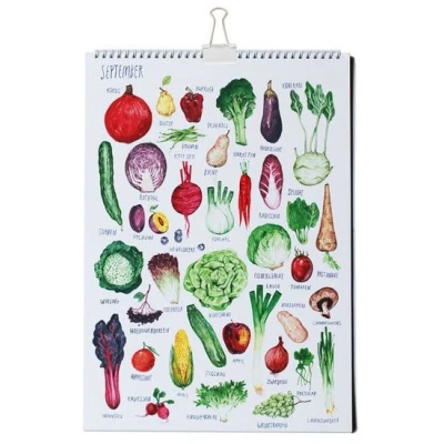 roots of compassion Saisonkalender von Pia Kraftfutter - 100 % Öko - saisonal, Obst, Gemüse, bio, Geschenk