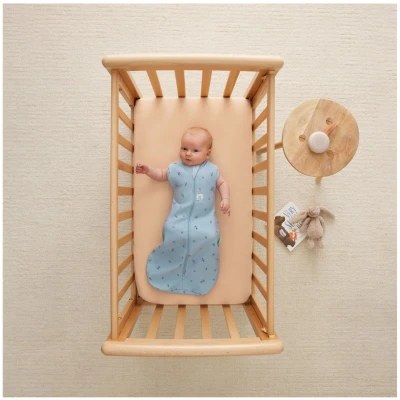 Baby Puck- und Schlafsack "ergoCocoon" dragonflies Gr. 0-3 Monate