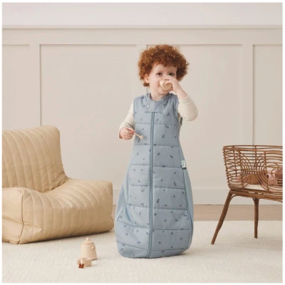 Schlafsack Baby Winter Sheeting "ergoBags" dragonflies Gr. 2-4 Jahre