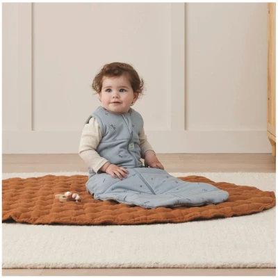 Schlafsack Baby Winter ergoBags dragonflies Gr. 8-24 Monate