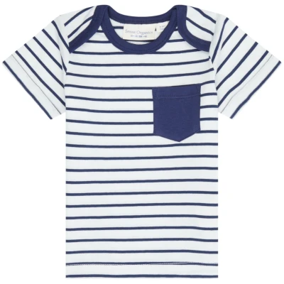 Sense Organics Baby T-Shirt marine-gestreift Gr.50/56 (0-3 Monate)