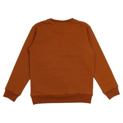 Baby Bio-Sweatshirt Braun Walkiddy: "Whale Friends" aus GOTS-zertifizierter Baumwolle, hypoallergen, umweltfreundlich, nachhaltig, fair produziert, Komfort & Stil.