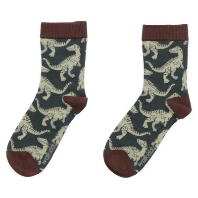 Baby Socken Bio-Baumwolle Dinosaurier Braun Walkiddy - Nachhaltig & Umweltfreundlich, GOTS-zertifiziert, Allergikerfreundlich, Weiches Material, Ethik-Verantwortung