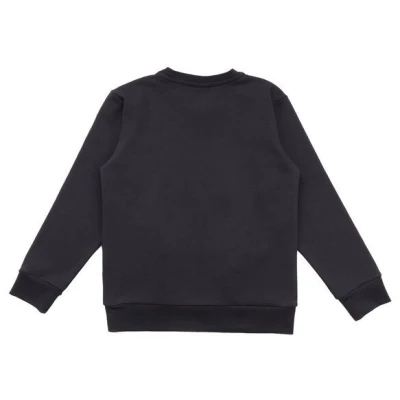 Bio-Baumwoll-Sweatshirt Baby Anthrazit Shire Horses Walkiddy GOTS-zertifiziert umweltfreundlich elastisch und bequem