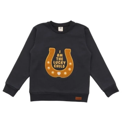 Bio-Baumwoll-Sweatshirt Baby Anthrazit Shire Horses Walkiddy GOTS-zertifiziert umweltfreundlich elastisch und bequem