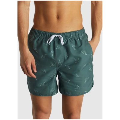 Swim Shorts Sandhamn Sea Turtles