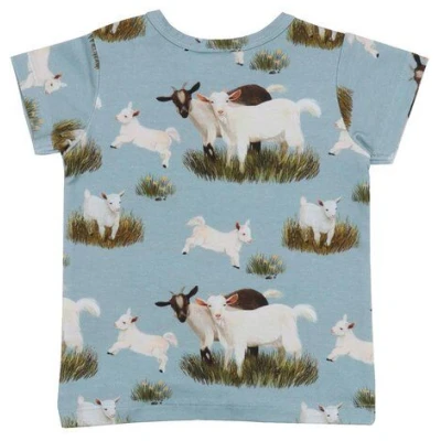 Baby T-Shirt Bio Baumwolle Grün - Walkiddy nachhaltig & GOTS-zertifiziert. Umweltfreundliches Design aus 95% Bio-Baumwolle, 5% Elasthan. Ideal für empfindliche Haut.
