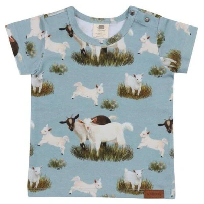 Baby T-Shirt Bio Baumwolle Grün - Walkiddy nachhaltig & GOTS-zertifiziert. Umweltfreundliches Design aus 95% Bio-Baumwolle, 5% Elasthan. Ideal für empfindliche Haut.