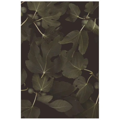 Photocircle Poster / Leinwandbild - Botanische Nacht