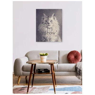 Photocircle Poster / Leinwandbild - Famous Quote Cat