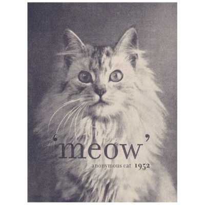 Photocircle Poster / Leinwandbild - Famous Quote Cat