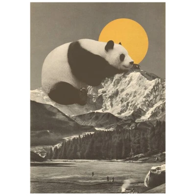 Photocircle Poster / Leinwandbild - Giant Panda Nap