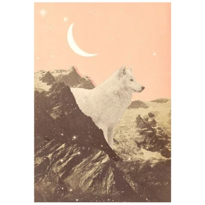 Photocircle Poster / Leinwandbild - Großer weißer Wolf in den Bergen