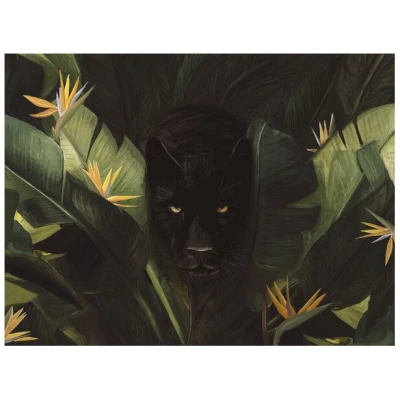 Photocircle Poster / Leinwandbild - Hello Panther !