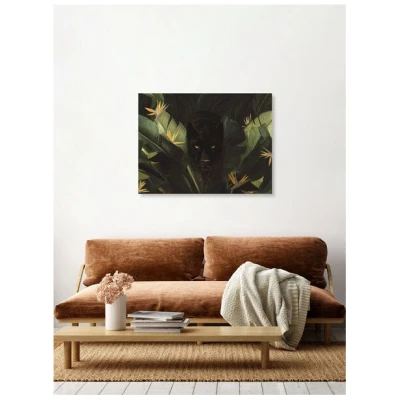 Photocircle Poster / Leinwandbild - Hello Panther !