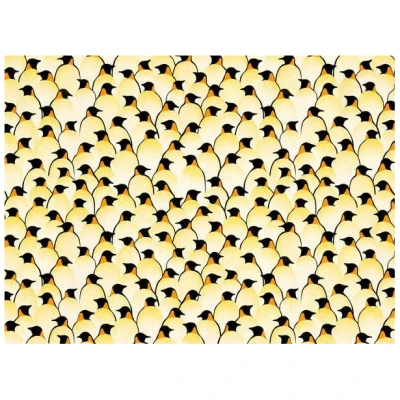 Photocircle Poster / Leinwandbild - Pinguine