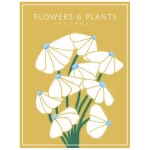 Photocircle Poster / Leinwandbild - White Flowers - Botany no2