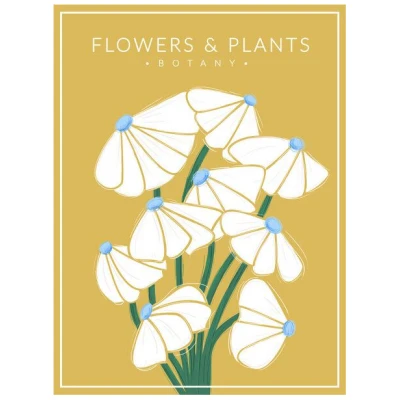 Photocircle Poster / Leinwandbild - White Flowers - Botany no2