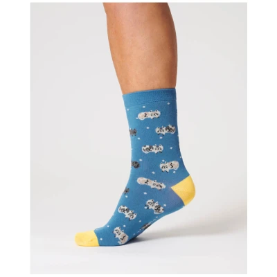 Socken Modell: Sleepy Cat