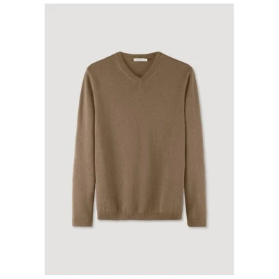 hessnatur V-Pullover Regular aus reiner Bio-Baumwolle mit Bio-Merinowolle