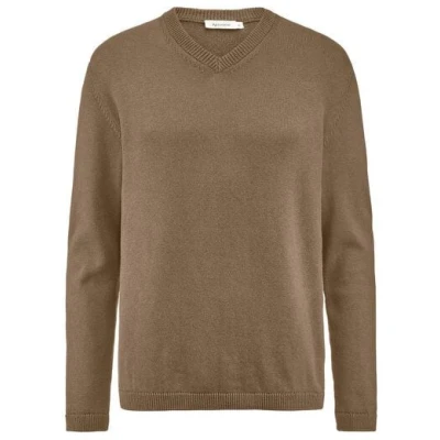 hessnatur V-Pullover Regular aus reiner Bio-Baumwolle mit Bio-Merinowolle