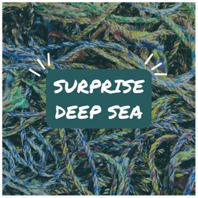 BRACENET Surprise Deep Sea Armband aus Fischernetz