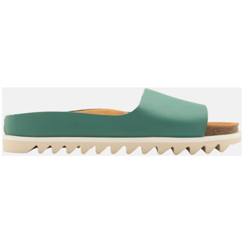 Palm Sandal Alga