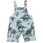 Strampler Bio-Baumwolle Grün Dinos Walkiddy - Nachhaltig, ökologisch, bequem, allergikerfreundlich, umweltfreundlich, GOTS-zertifiziert, armellos.