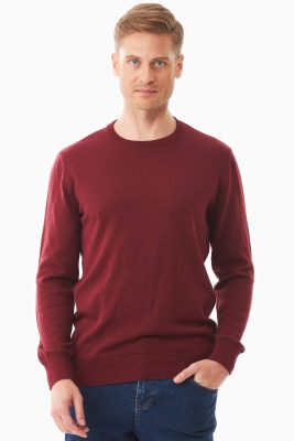 ORGANICATION Herren vegan Pullover Aus Bio-Baumwolle