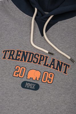 Trendsplant Herren vegan Hoodie Gamma College Mild Heather Grey