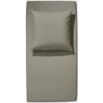 hessnatur Jersey Spannbettlaken aus Bio-Baumwolle - grün - Größe 90-100x200 cm