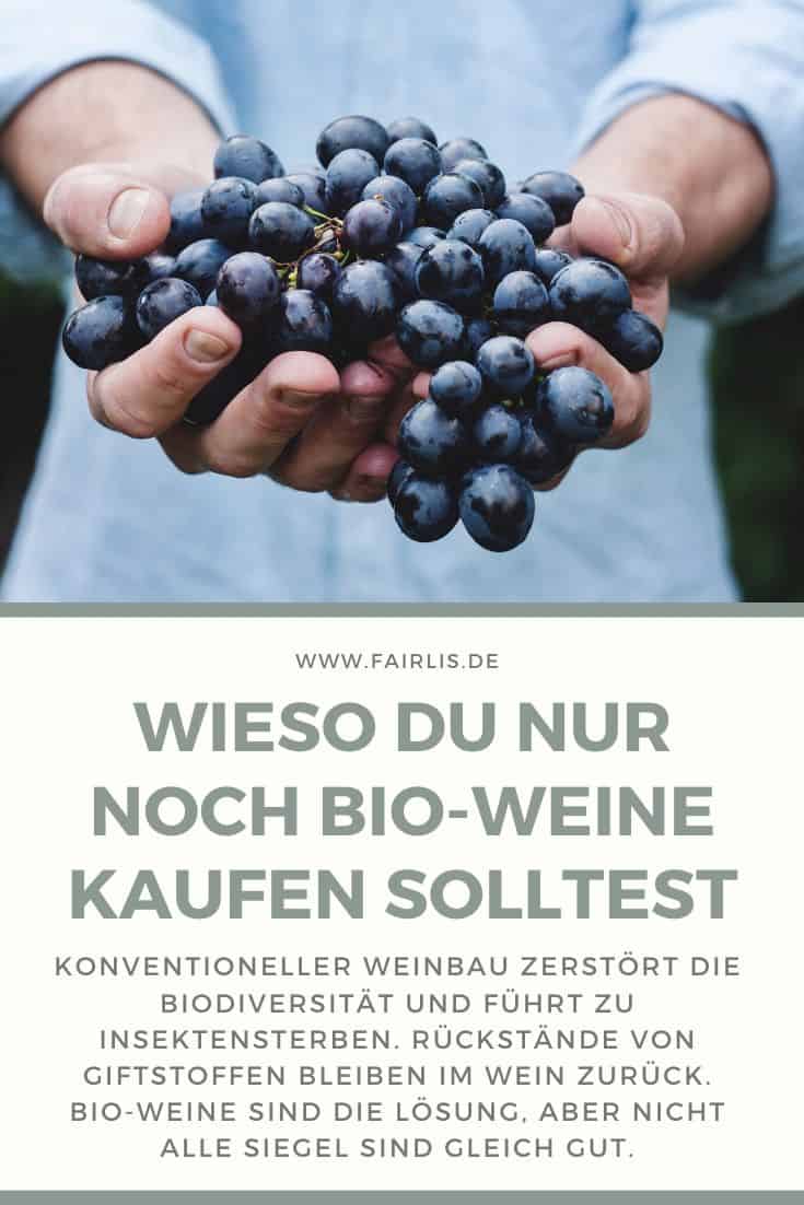 Wieso du nur noch Bio-Weine kaufen solltest