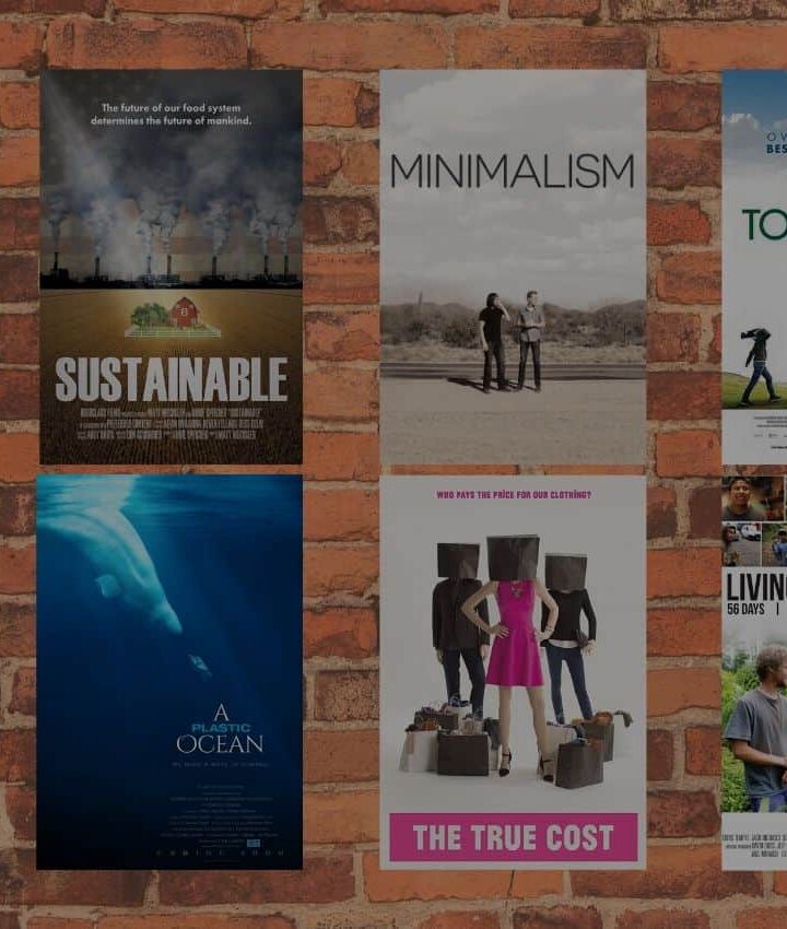 Weggeworfen, Sustainable, Minimalism, Tomorrow, Cowspiracy, A Plastic Ocean, The True Cost, Living on one Dollar Cover