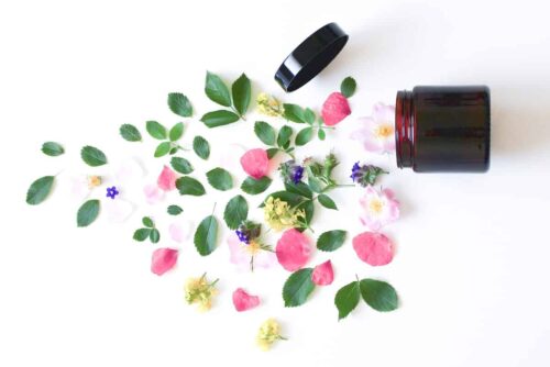 Kosmetiktiegel seitlich liegend mit Blüten und Blättern