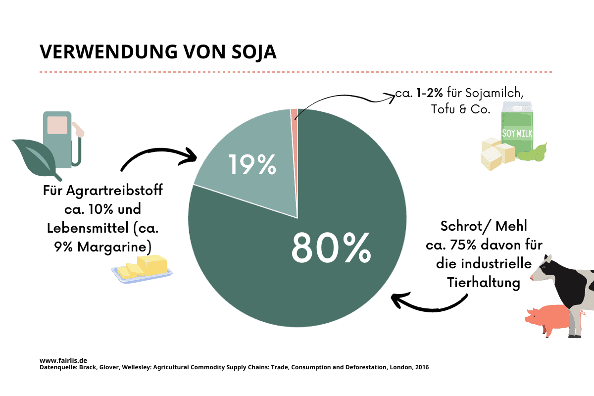 Soja: Anbau, Verwendung, Umweltprobleme & Gesundheit