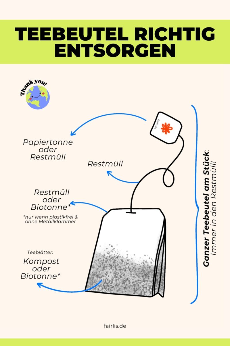 Infografik "Teebeutel richtig entsorgen" von fairlis.de - beschreibt alle Teile des Teebeutels, und in welchen Müll sie gehören.