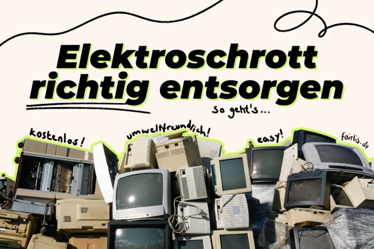 Aktivisten Aus Freiburg Retten Alte Windows 10 Rechner Vor Dem Elektroschrott - zm9i363