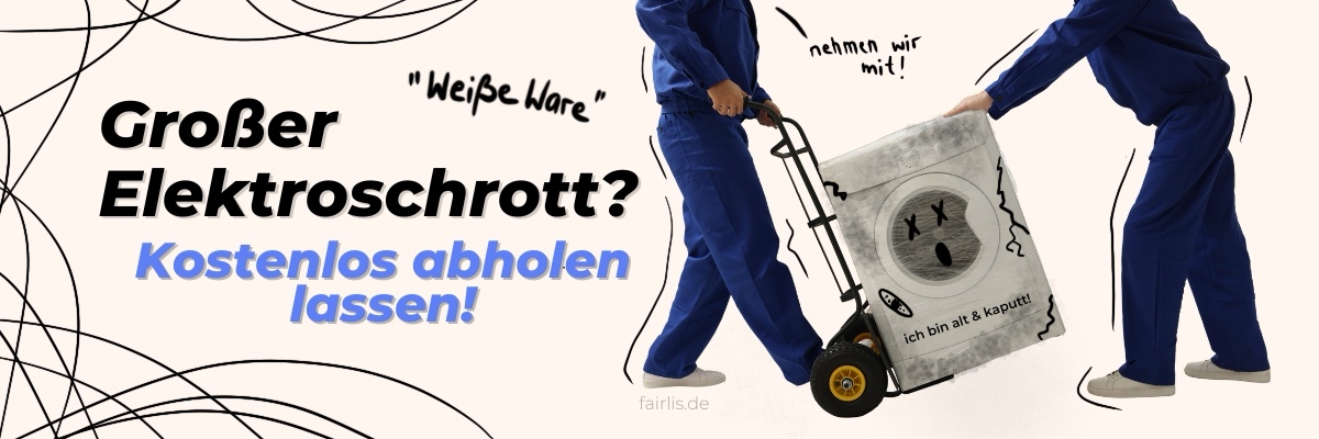 Zwei Männer transportieren eine Waschmaschine, daneben steht der Text "Großer Elektroschrott? Kostenlos abholen lassen!"