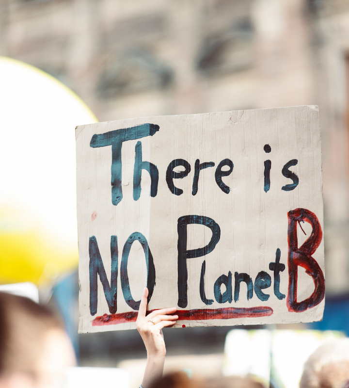 Schild mit "no planet B" Aufschrift wird hochgehalten