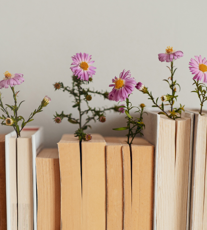 Bücher mit eingesteckten Blumen nebeneinander aufgereiht