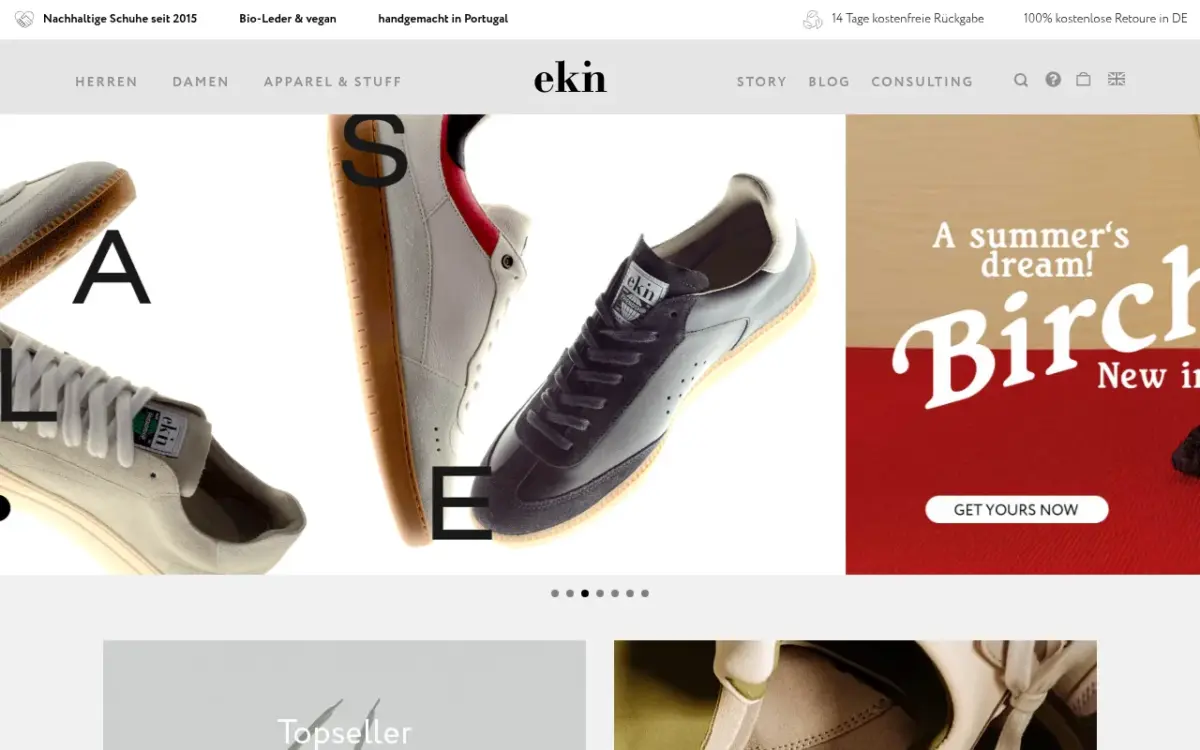 Screenshot der Website ekn